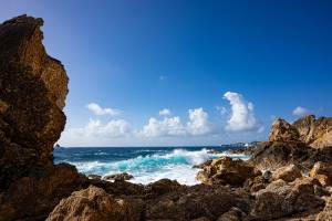 Véronique LARRUE - LARRUE VERONIQUE